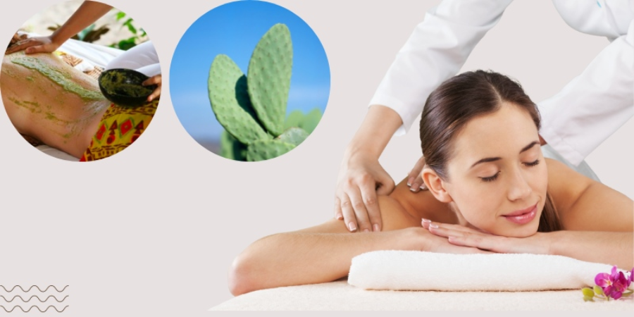 Effects of Cactus massage at Clover Spa