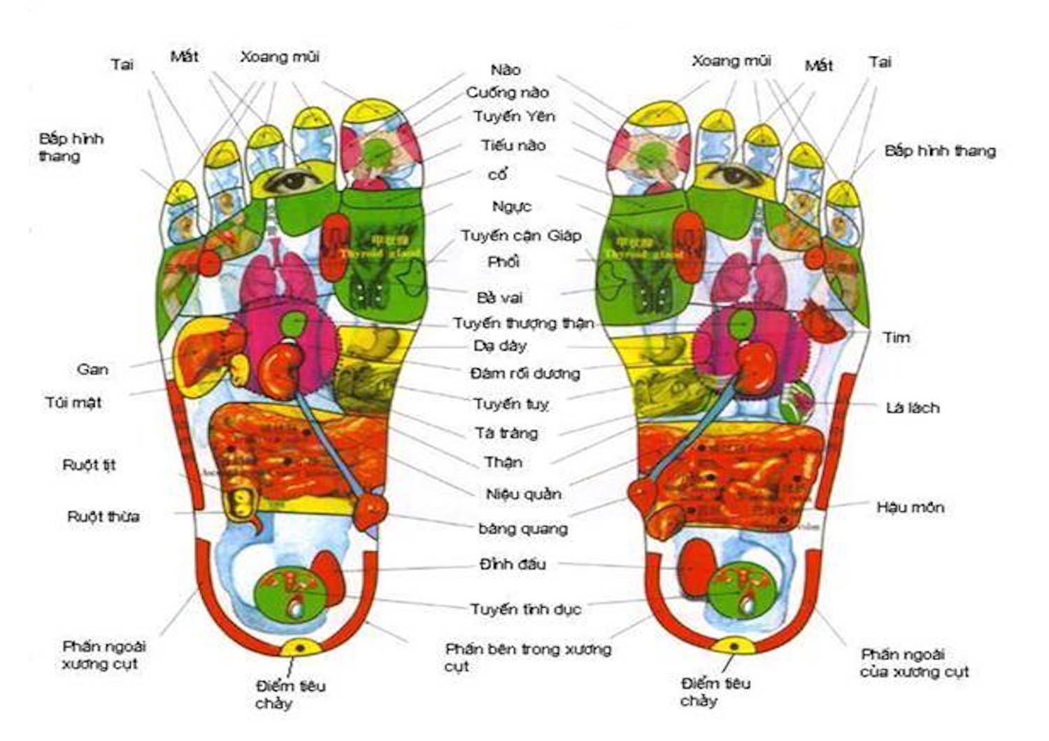 massage chan da lat
