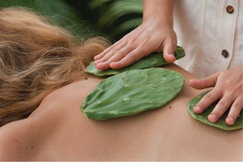 massage xuong rong da lat